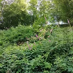 Hollig Апартаменты *