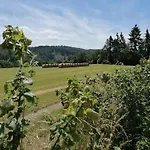 Апартаменты Hollig Breitscheid (Rhineland-Palatinate)