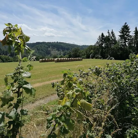 Apartmán Hollig Breitscheid (Rhineland-Palatinate)