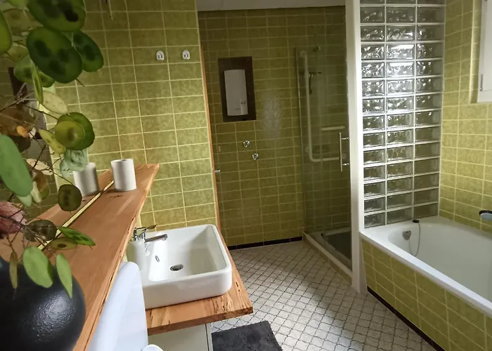 Hollig * 브레이츠세이드