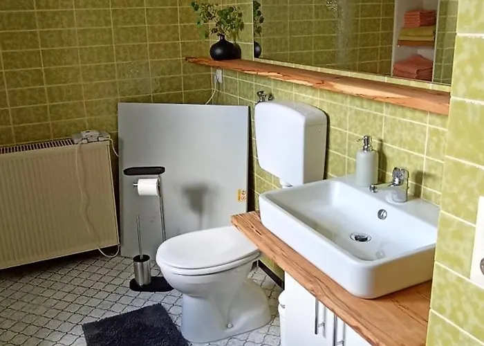 Hollig 브레이츠세이드