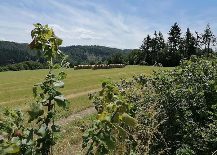 아파트 Hollig 브레이츠세이드